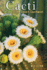 Cacti of the Desert Sw