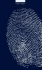 Graphis Logo 2