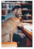 What Distinguishes Human Understanding Format: Hardcover