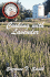 Cooking With Lavender
