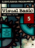 Visual Basic: Client Server Programming
