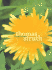 Thomas Struth: the Dandelion Room