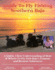 Fly Fishing Southern Baja: a Quick, Clear Understanding of How & Where to Fly Fish Baja's Famous and Remote Saltwaters