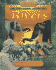 Amazing Animal Adventures in Rivers: With Brian Keating (Going Wild)