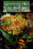 Simply Thai Cooking