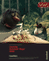 Learning Autodesk Maya 2008, (Official Autodesk Training Guide, Includes Dvd): Foundation