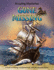 Gone Missing (Amazing Mysteries)