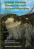 Orbital Forcing Timescales & Cyclostratigraphy. (Geological Society Special Publication Ser. No 85. )