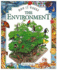 The Environment (How It Works S. )