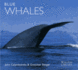 Blue Whales (Worldlife Library)