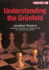 Understanding the Grunfeld