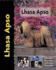 Lhasa Apso (Dog Breed Book)