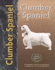 Clumber Spaniel