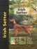 Irish Setter (Pet Love)