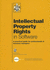 Intellectual Property Rights in Software (Bcs Practical Guides)