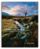 Landscape Beyond: a Journey Into Photography