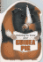 Getting to Know Your Guinea Pig