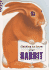 Getting to Know Your Rabbit (Childrens Pet)