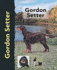Gordon Setter (Pet Love Dog Breed)