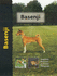 Basenji
