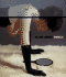 Allen Jones: Second Thoughts