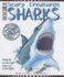 Sharks (Scary Creatures)