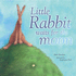 Little Rabbit Waits for the Moon (Books for Life)