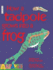 How A Tadpole Grows Into A Frog