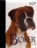 Boxer (Best of Breed)