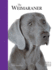 The Weimaraner (Best of Breed)