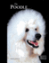 Poodle (Best of Breed)