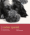 Cocker Spaniel: Cocker Spaniel-Dog Expert