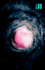 Pink Moon, a Story About Nick Drake