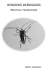 Windows Debugging: Practical Foundations