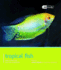Tropical Fish: Pet Friendly-Tropical Fish