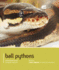 Ball Pythons: Understanding and Caring for Your Pet (Pet Expert)