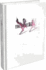 Final Fantasy XIII-2: the Complete Official Guide-Collector's Edition