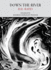 Down the River Format: Paperback