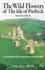 The Wild Flowers of the Isle of Purbeck-Second Edition
