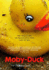 Moby-Duck: the True Story of 28, 800 Bath Toys Lost at Sea
