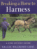 Breaking the Horse to Harness: a Step-By-Step Guide