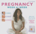 Pregnancy Week By Week