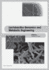 Lactobacillus Genomics and Metabolic Engineering