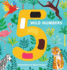 5 Wild Numbers