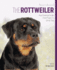 Rottweiler Best of Breed