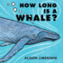 How Long is a Whale?