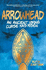 Arrowhead: an Ancient Viking Curse Has Risen