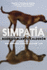 Simpatia: Longlisted for the International Booker Prize 2024