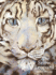 The Snow Leopard