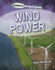 Wind Power (Energy Evolutions)